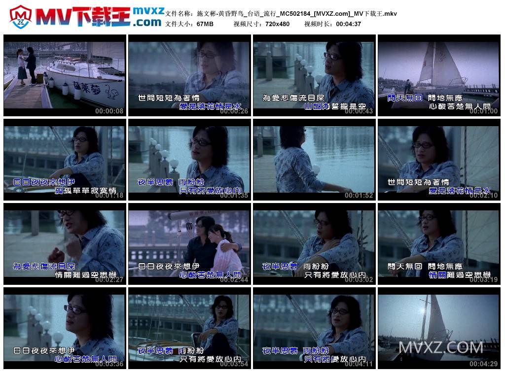 施文彬-黄昏野鸟_台语_流行_MC502184